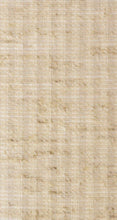 Load image into Gallery viewer, Grasses 3.5 inch Fabric Vertical Blind Slat in Twig – Light Filtering