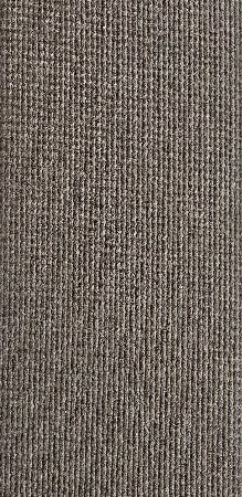 Fern Sample